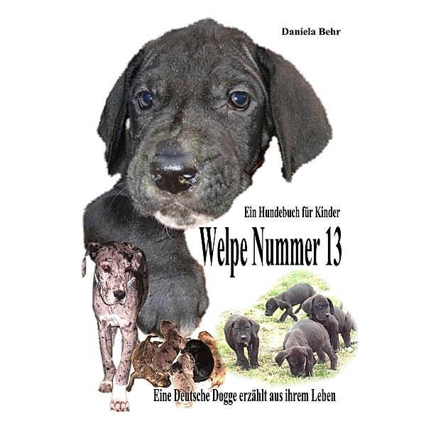 Welpe Nummer 13  Ein Hundekind erzählt aus seinem Leben Die Geschichte einer Deutschen Dogge, Daniela Behr