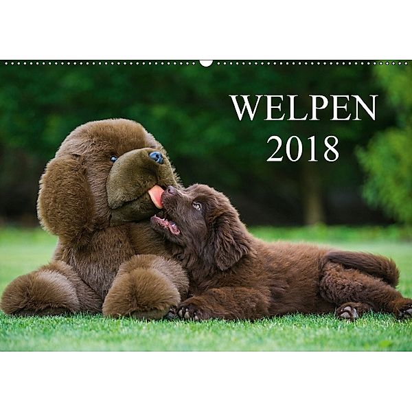 Welpen 2018 (Wandkalender 2018 DIN A2 quer), Sigrid Starick