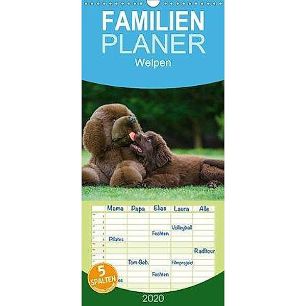 Welpen 2020 - Familienplaner hoch (Wandkalender 2020 , 21 cm x 45 cm, hoch), Sigrid Starick