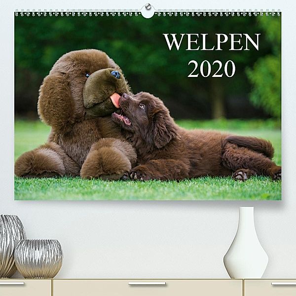 Welpen 2020 (Premium-Kalender 2020 DIN A2 quer), Sigrid Starick