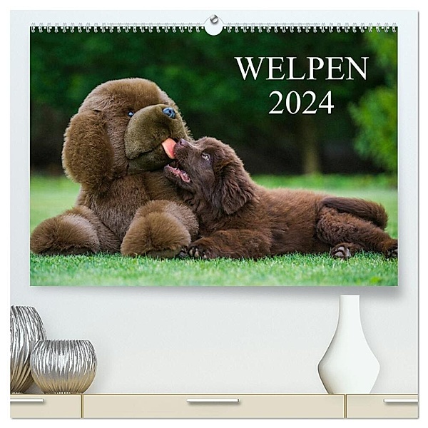 Welpen 2024 (hochwertiger Premium Wandkalender 2024 DIN A2 quer), Kunstdruck in Hochglanz, Sigrid Starick