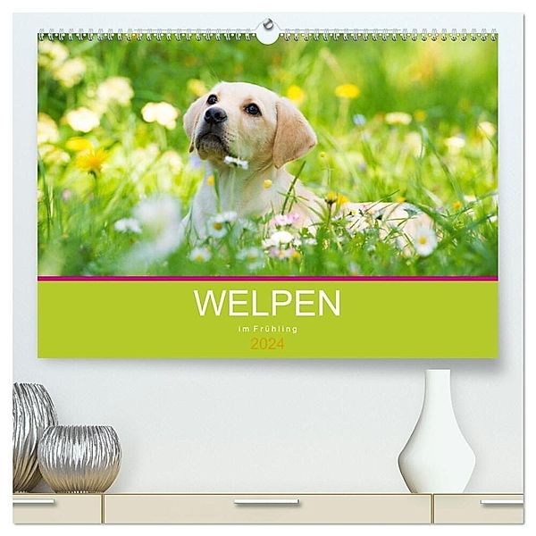 Welpen im Frühling (hochwertiger Premium Wandkalender 2024 DIN A2 quer), Kunstdruck in Hochglanz, Judith dzierzawa