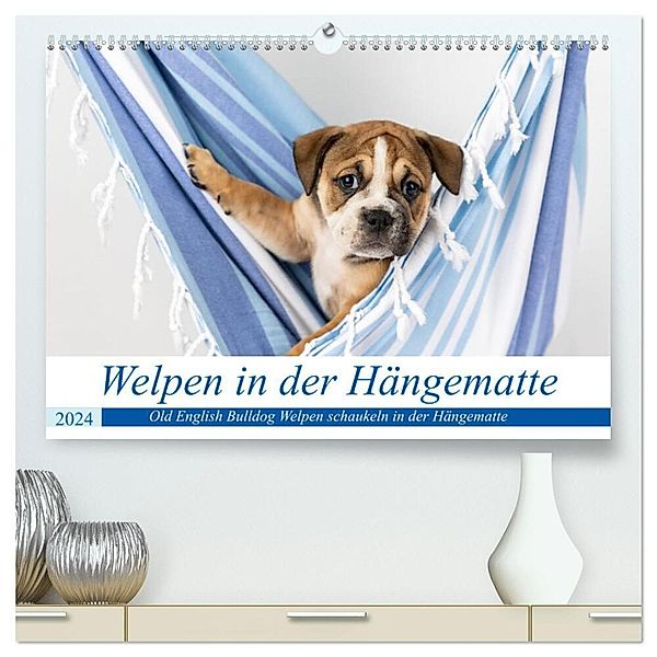 Welpen in der Hängematte (hochwertiger Premium Wandkalender 2024 DIN A2 quer), Kunstdruck in Hochglanz, Fotodesign Verena Scholze