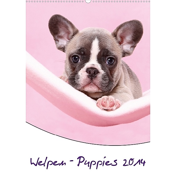 Welpen - Puppies 2014 (Wandkalender 2014 DIN A2 hoch), Jeanette Hutfluss