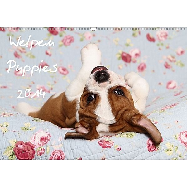 Welpen - Puppies 2014 (Wandkalender 2014 DIN A2 quer), Jeanette Hutfluss