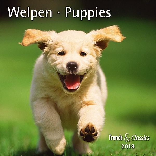 Welpen / Puppies 2018