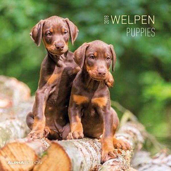 Welpen / Puppies  2018