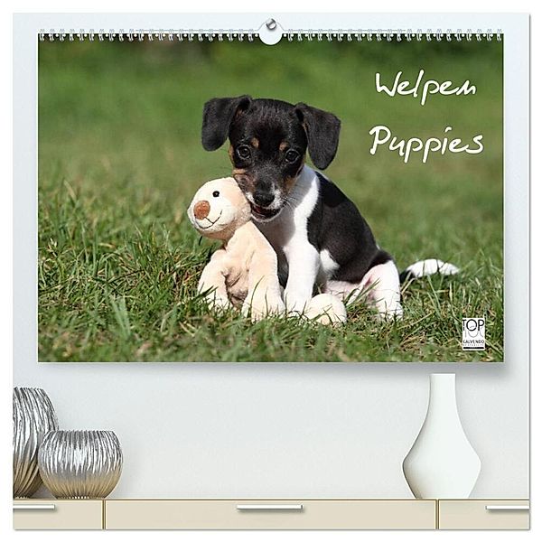 Welpen - Puppies (hochwertiger Premium Wandkalender 2024 DIN A2 quer), Kunstdruck in Hochglanz, Jeanette Hutfluss