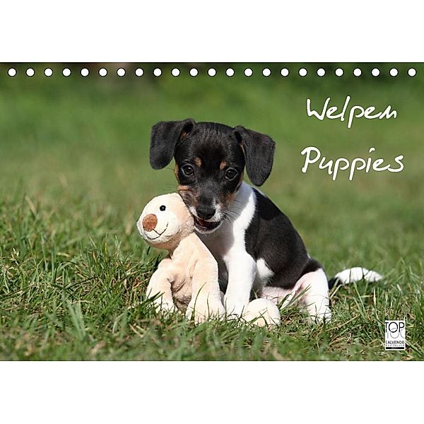 Welpen - Puppies (Tischkalender 2020 DIN A5 quer), Jeanette Hutfluss