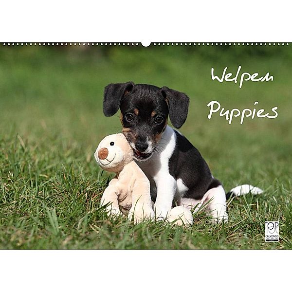 Welpen - Puppies (Wandkalender 2023 DIN A2 quer), Jeanette Hutfluss