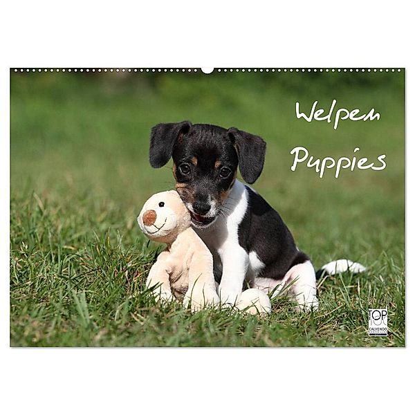 Welpen - Puppies (Wandkalender 2024 DIN A2 quer), CALVENDO Monatskalender, Jeanette Hutfluss