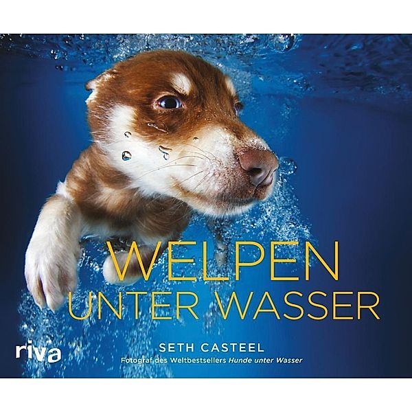 Welpen unter Wasser, Seth Casteel