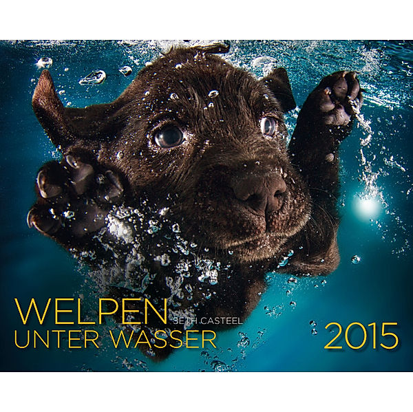 Welpen unter Wasser 2015, Seth Casteel