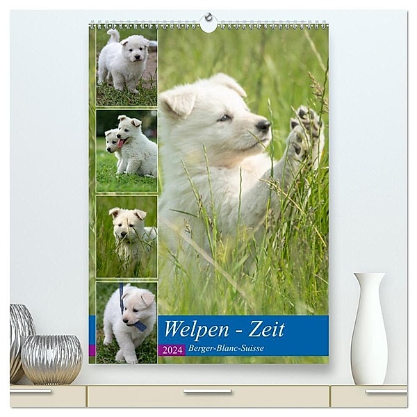 Welpen Zeit - Berger Blanc Suisse (hochwertiger Premium Wandkalender 2024 DIN A2 hoch), Kunstdruck in Hochglanz, Tanja Riedel