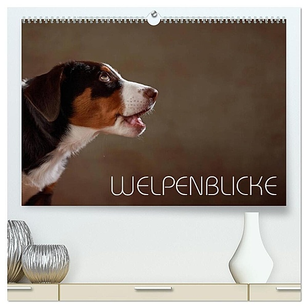 Welpenblicke (hochwertiger Premium Wandkalender 2024 DIN A2 quer), Kunstdruck in Hochglanz, Jana Behr