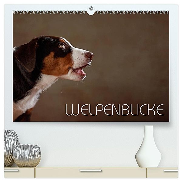 Welpenblicke (hochwertiger Premium Wandkalender 2025 DIN A2 quer), Kunstdruck in Hochglanz, Calvendo, Jana Behr