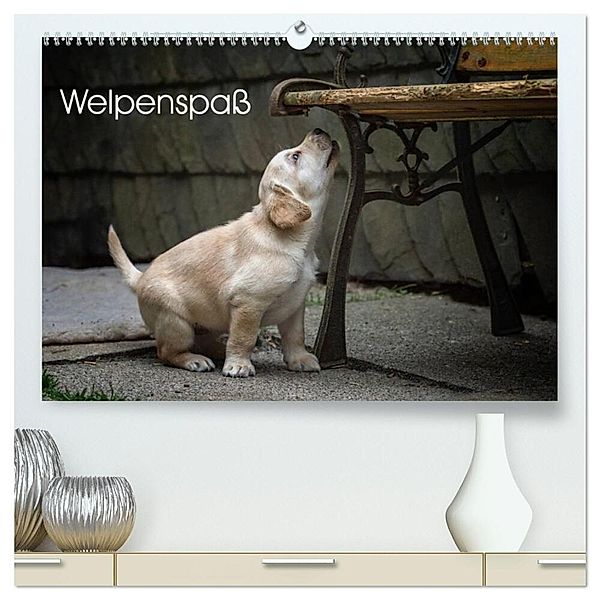 Welpenspaß (hochwertiger Premium Wandkalender 2024 DIN A2 quer), Kunstdruck in Hochglanz, Claudia Pelzer (Pelzer-Photography)