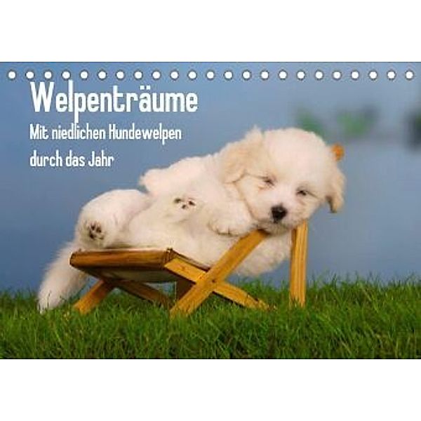 Welpenträume - Mit niedlichen Hundewelpen durch das Jahr (Tischkalender 2022 DIN A5 quer), Petra Wegner