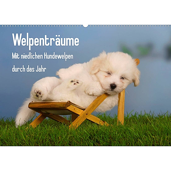 Welpenträume - Mit niedlichen Hundewelpen durch das Jahr (Wandkalender 2023 DIN A2 quer), Petra Wegner