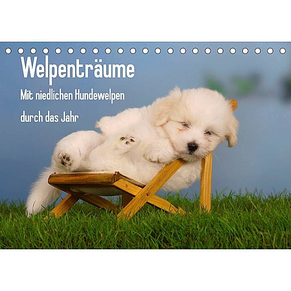 Welpenträume - Mit niedlichen Hundewelpen durch das Jahr (Tischkalender 2023 DIN A5 quer), Petra Wegner
