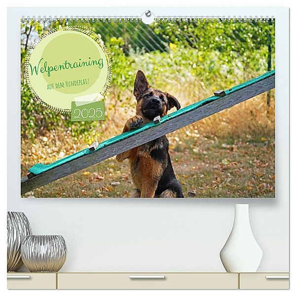 Welpentraining auf dem Hundeplatz (hochwertiger Premium Wandkalender 2025 DIN A2 quer), Kunstdruck in Hochglanz, Calvendo, Babett Paul - Babetts Bildergalerie