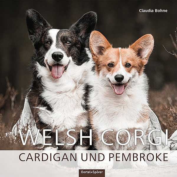 Welsh Corgi, Claudia Bohne