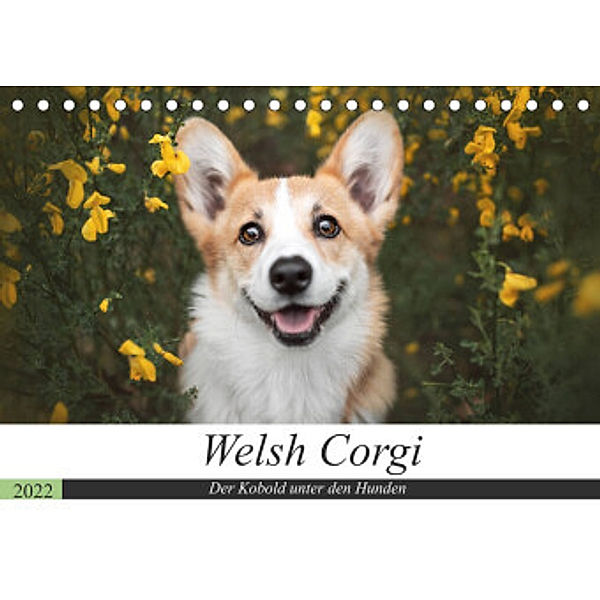 Welsh Corgi - Der Kobold unter den Hunden (Tischkalender 2022 DIN A5 quer), Maria Ahrens