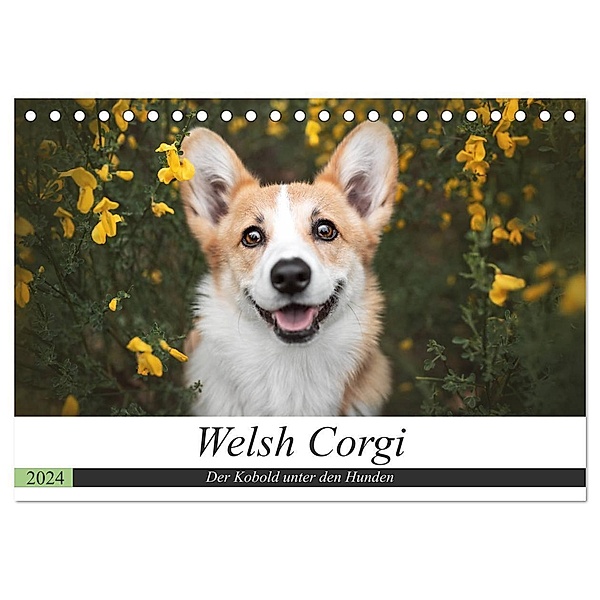Welsh Corgi - Der Kobold unter den Hunden (Tischkalender 2024 DIN A5 quer), CALVENDO Monatskalender, Maria Ahrens