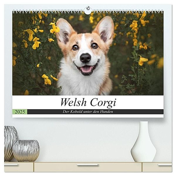 Welsh Corgi - Der Kobold unter den Hunden (hochwertiger Premium Wandkalender 2025 DIN A2 quer), Kunstdruck in Hochglanz, Calvendo, Maria Ahrens