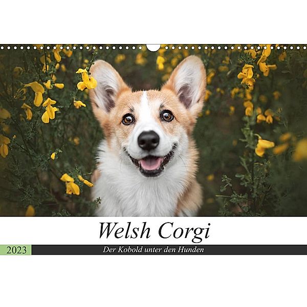 Welsh Corgi - Der Kobold unter den Hunden (Wandkalender 2023 DIN A3 quer), Maria Ahrens