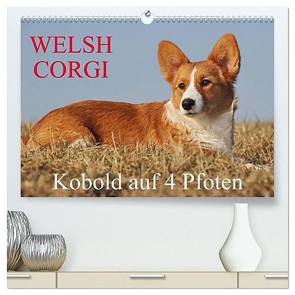 Welsh Corgi - Kobold auf 4 Pfoten (hochwertiger Premium Wandkalender 2025 DIN A2 quer), Kunstdruck in Hochglanz, Calvendo, Sigrid Starick