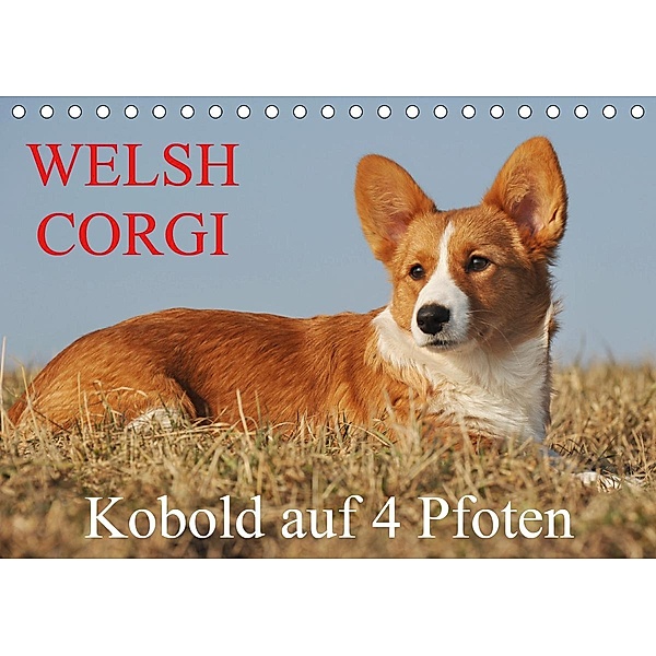 Welsh Corgi - Kobold auf 4 Pfoten (Tischkalender 2021 DIN A5 quer), Sigrid Starick