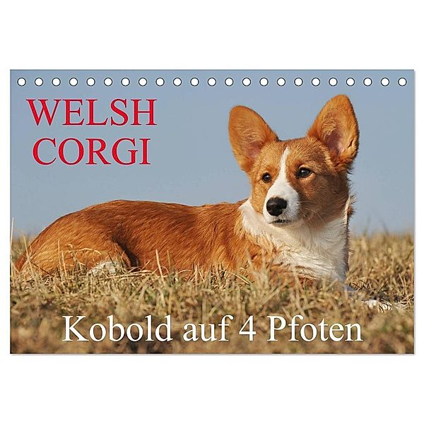 Welsh Corgi - Kobold auf 4 Pfoten (Tischkalender 2024 DIN A5 quer), CALVENDO Monatskalender, Sigrid Starick