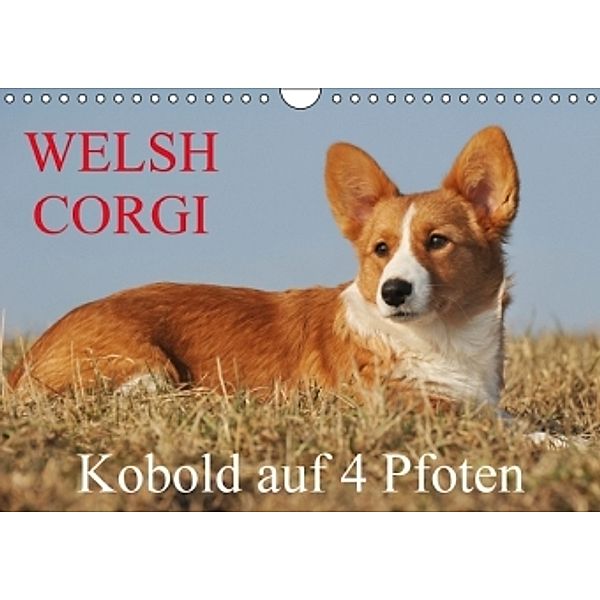 Welsh Corgi - Kobold auf 4 Pfoten (Wandkalender 2016 DIN A4 quer), Sigrid Starick