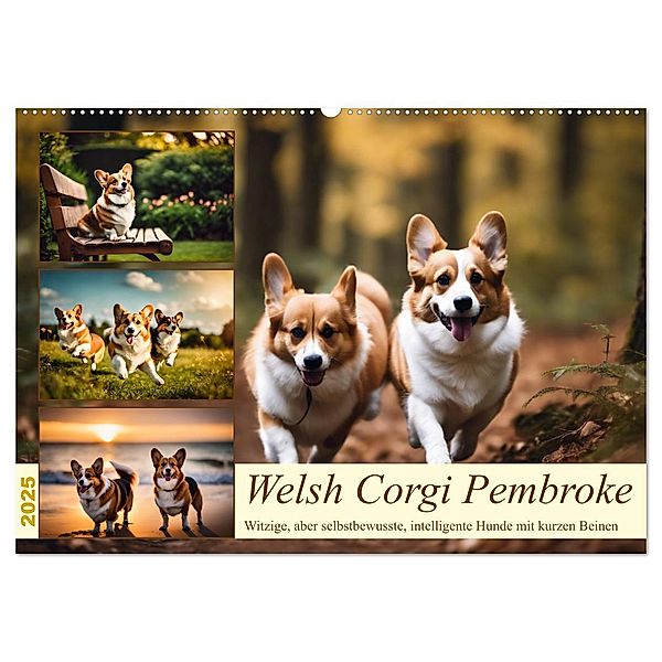 Welsh Corgi Pembroke (Wandkalender 2025 DIN A2 quer), CALVENDO Monatskalender, Calvendo, Claudia Kleemann