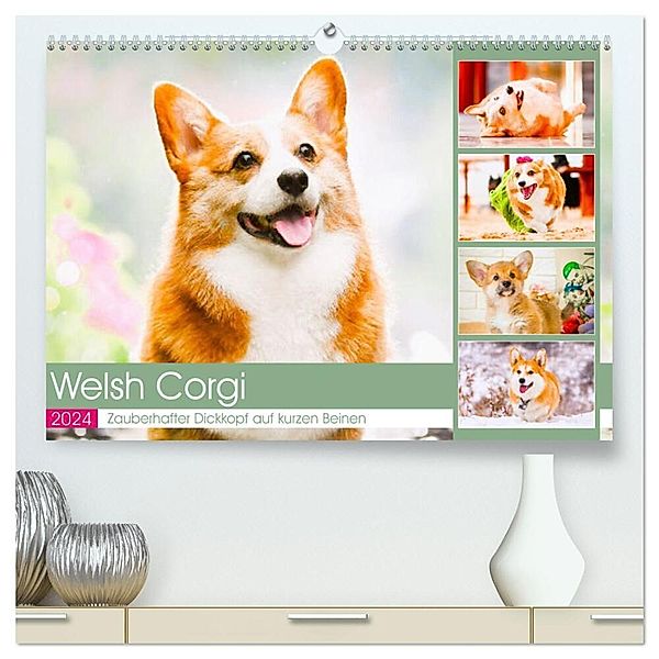 Welsh Corgi. Zauberhafter Dickkopf auf kurzen Beinen (hochwertiger Premium Wandkalender 2024 DIN A2 quer), Kunstdruck in Hochglanz, Rose Hurley