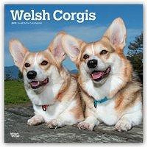 Welsh Corgis 2019 - 18-Monatskalender mit freier DogDays-App