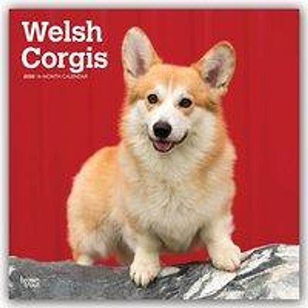 Welsh Corgis 2020, BrownTrout Publisher