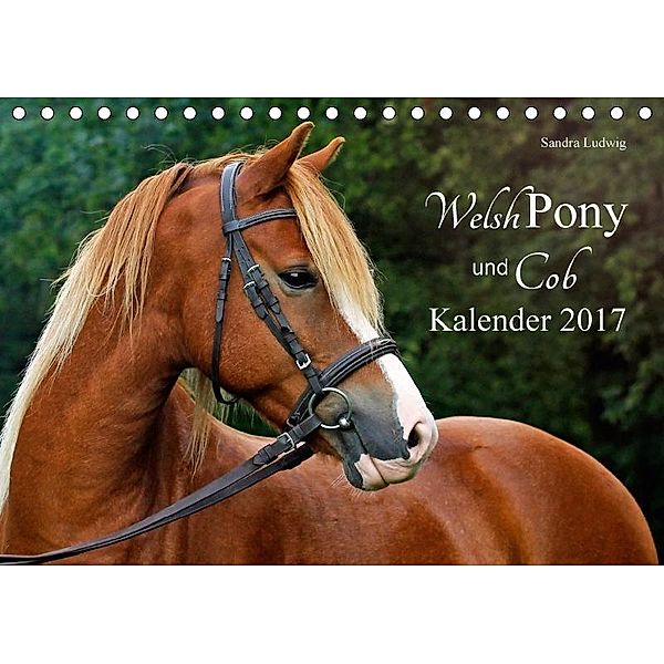 Welsh Pony und Cob Kalender 2017 (Tischkalender 2017 DIN A5 quer), Sandra Ludwig
