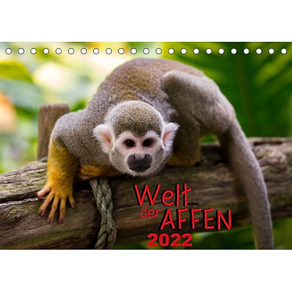 Welt der Affen (Tischkalender 2022 DIN A5 quer), M. Reznicek Photography