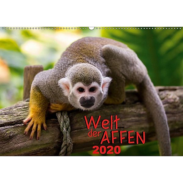 Welt der Affen (Wandkalender 2020 DIN A2 quer), M. Reznicek