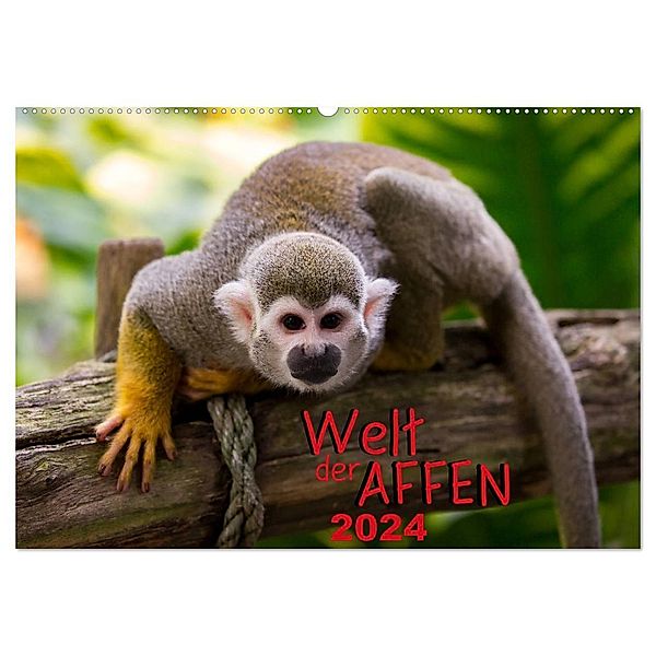 Welt der Affen (Wandkalender 2024 DIN A2 quer), CALVENDO Monatskalender, M. Reznicek Photography