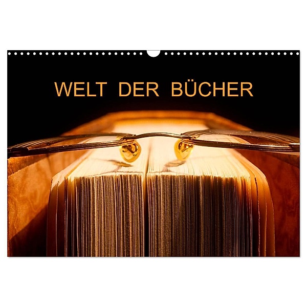 Welt der Bücher / CH-Version (Wandkalender 2024 DIN A3 quer), CALVENDO Monatskalender, Thomas Jäger