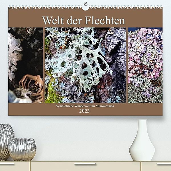 Welt der Flechten (Premium, hochwertiger DIN A2 Wandkalender 2023, Kunstdruck in Hochglanz), Stefan weis