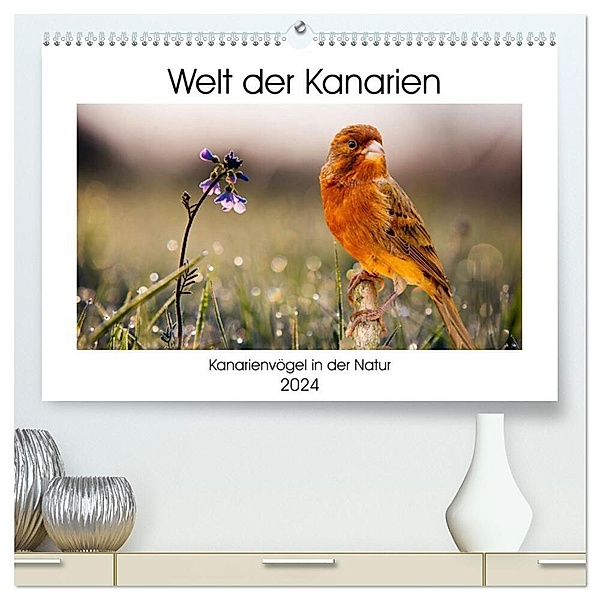 Welt der Kanarien (hochwertiger Premium Wandkalender 2024 DIN A2 quer), Kunstdruck in Hochglanz, AkremaFotoArt