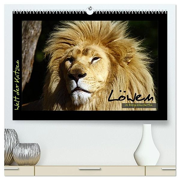 Welt der Katzen - Löwen (hochwertiger Premium Wandkalender 2024 DIN A2 quer), Kunstdruck in Hochglanz, Marcus Skupin