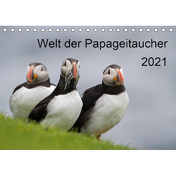 Welt der Papageitaucher (Tischkalender 2021 DIN A5 quer), Anna-Barbara Utelli