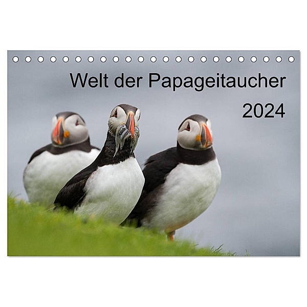 Welt der Papageitaucher (Tischkalender 2024 DIN A5 quer), CALVENDO Monatskalender, Anna-Barbara Utelli
