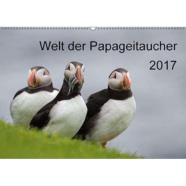 Welt der Papageitaucher (Wandkalender 2017 DIN A2 quer), Anna-Barbara Utelli