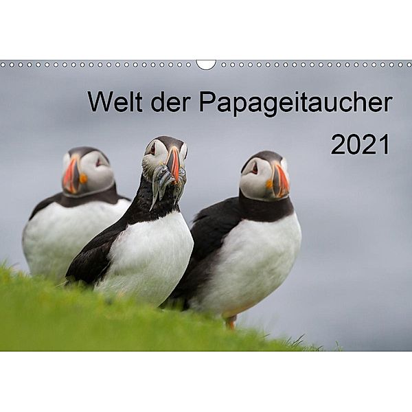 Welt der Papageitaucher (Wandkalender 2021 DIN A3 quer), Anna-Barbara Utelli